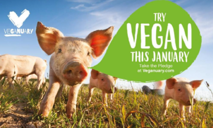 Zwei Experimente zum Thema Nachhaltigkeit