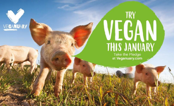 Zwei Experimente zum Thema Nachhaltigkeit